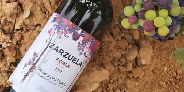 Los mejores vinos Ribera del Duero en términos de calidad precio