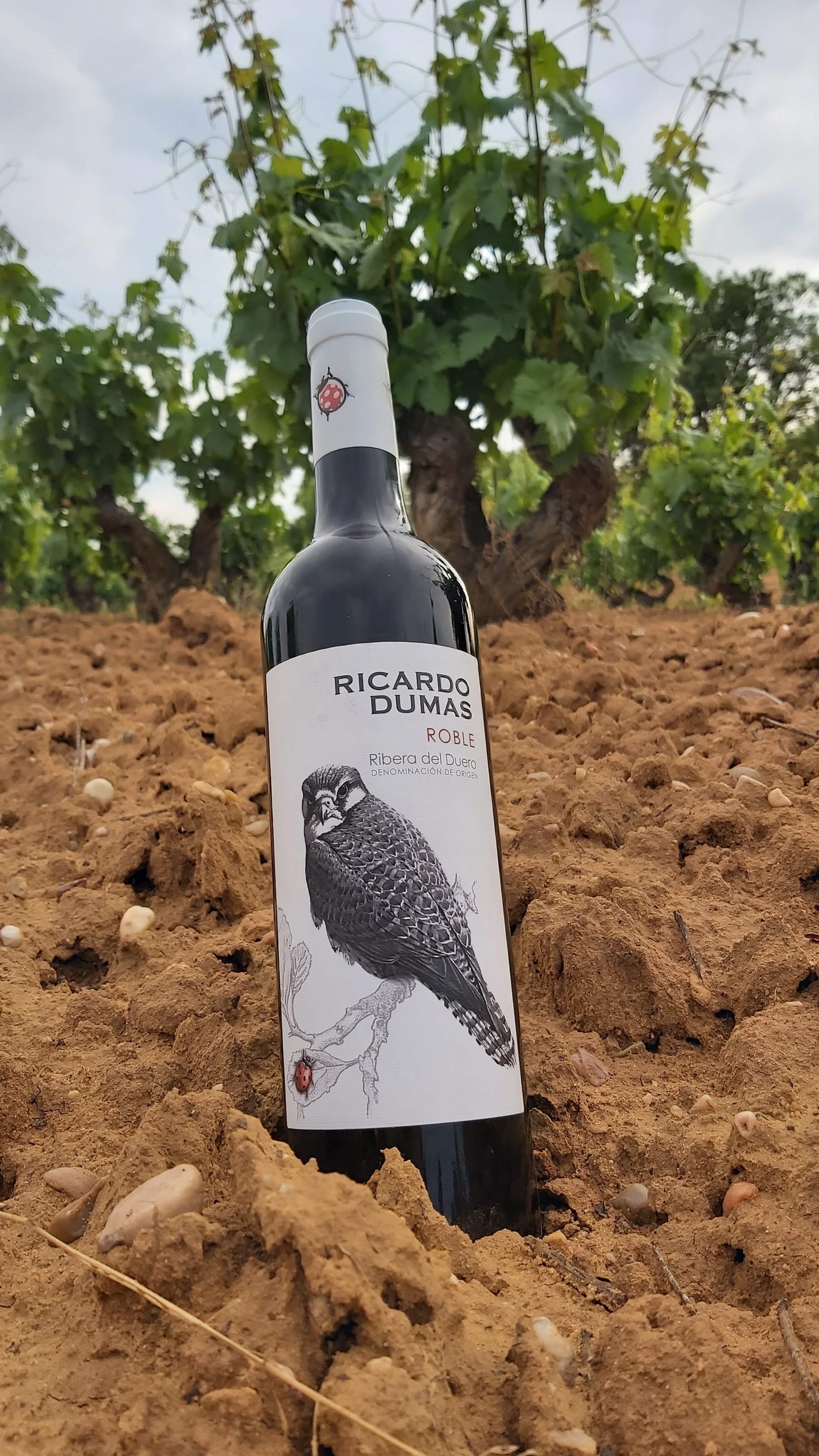 Comprar vinos en la Ribera del Duero en bodegas de calidad